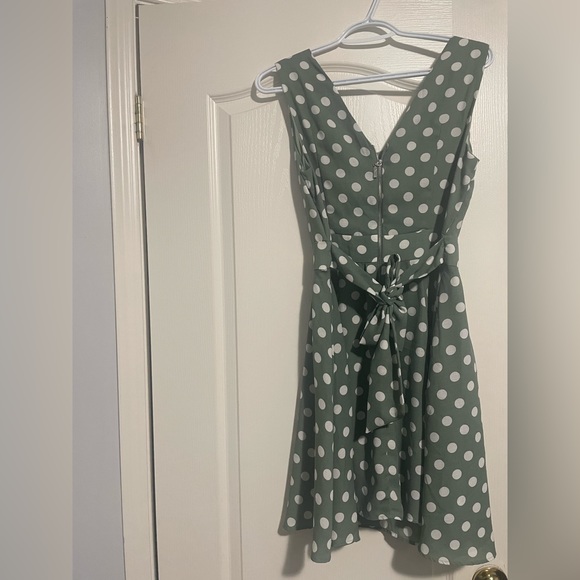 Suzy Sheer Dress - Picture 4 of 4